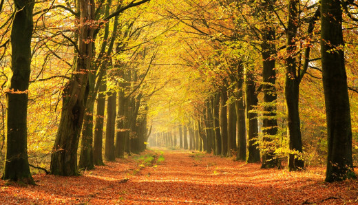 1082907 (a): :1920x1098